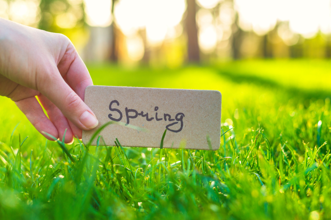 hand holding tag that says "spring" next to grass